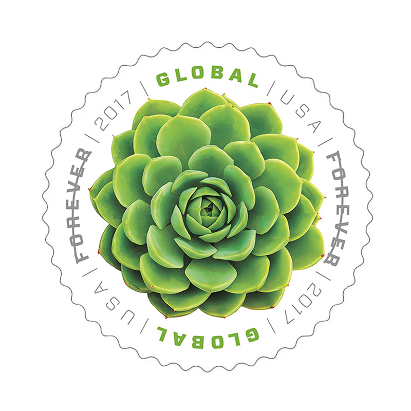 2017 Global Green Succulents