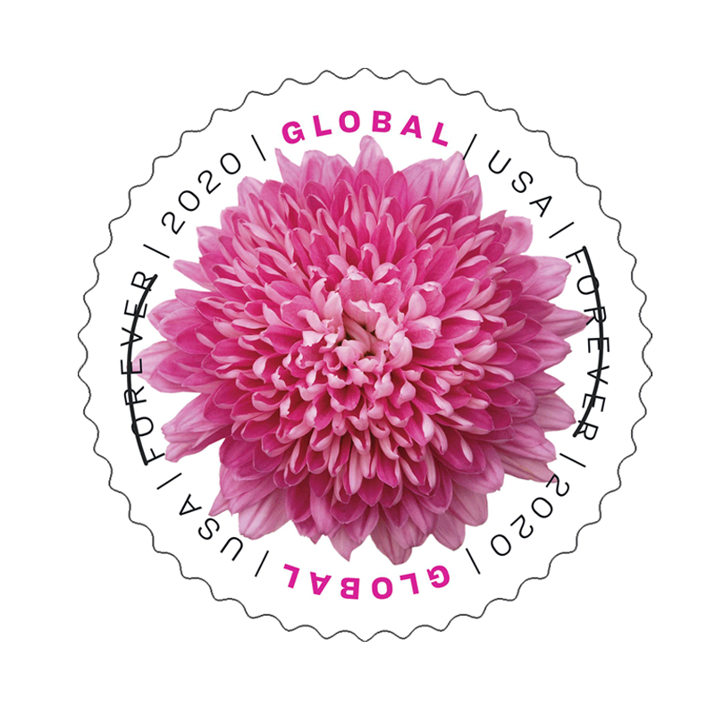2020 Global Chrysanthemum